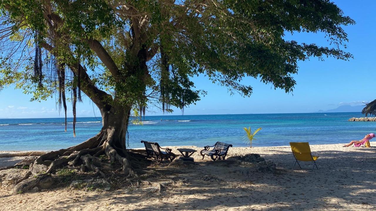 Le Kalinao, Anse Des Rochers Plage, Piscine Et Cocotiers Apartment Saint-Francois  Exterior photo