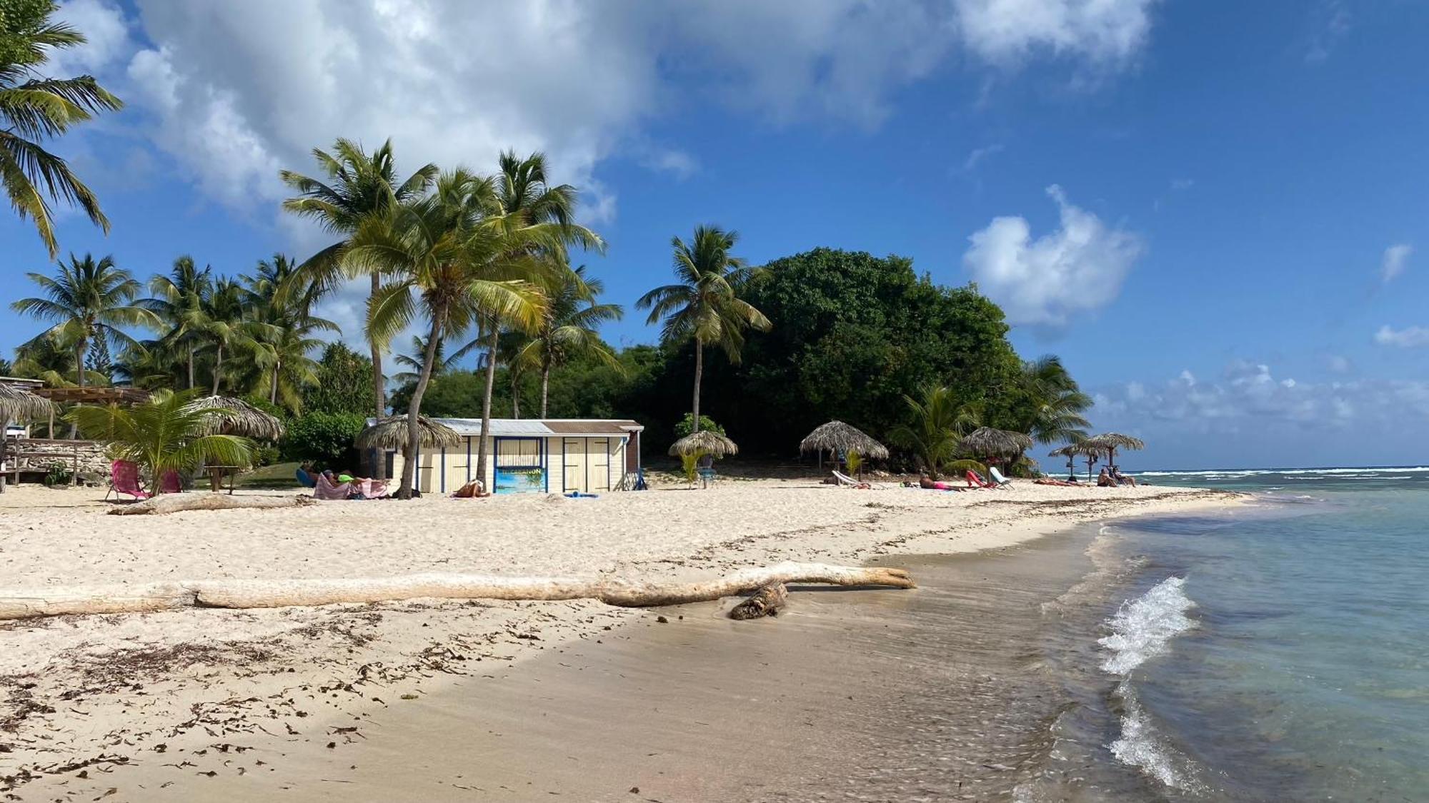 Le Kalinao, Anse Des Rochers Plage, Piscine Et Cocotiers Apartment Saint-Francois  Exterior photo