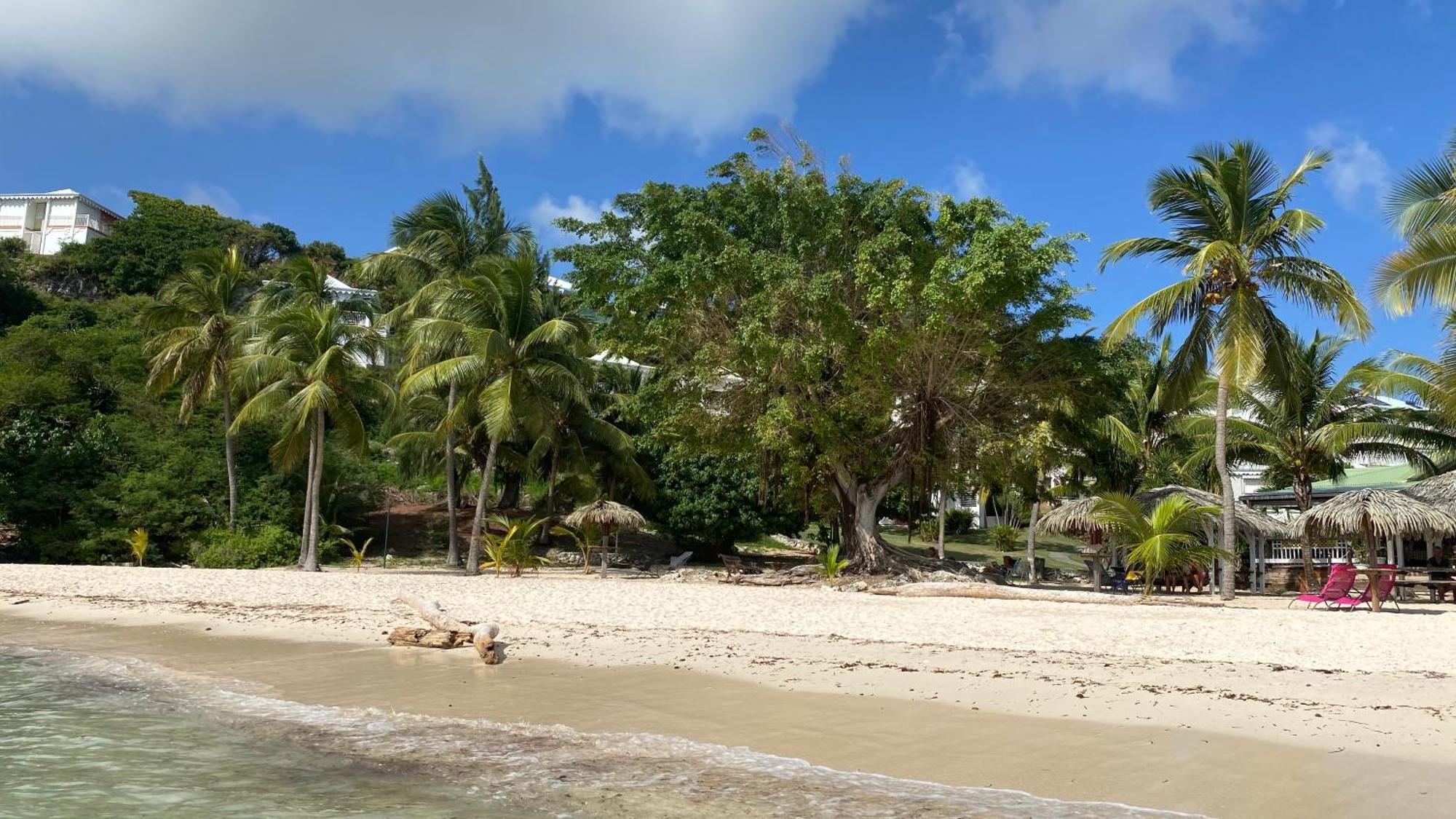 Le Kalinao, Anse Des Rochers Plage, Piscine Et Cocotiers Apartment Saint-Francois  Exterior photo