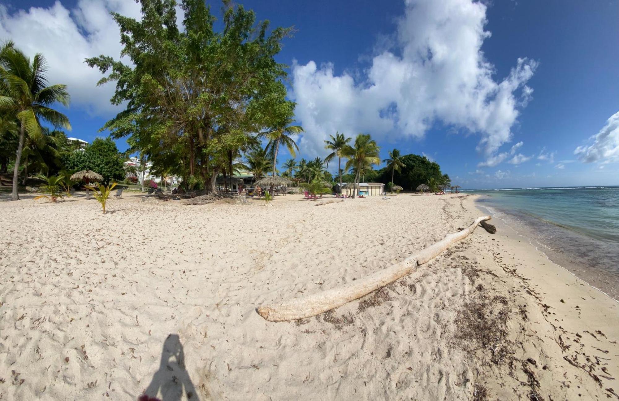 Le Kalinao, Anse Des Rochers Plage, Piscine Et Cocotiers Apartment Saint-Francois  Exterior photo